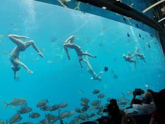 -瑞德姆美人鱼海底演艺主题餐厅(亚龙湾店)