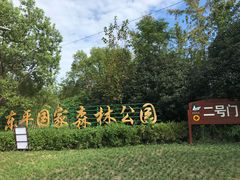 -东平国家森林公园