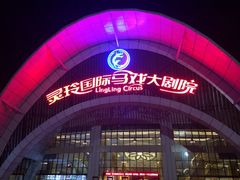 iphone_upload_pic-灵玲国际马戏城