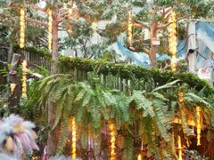 -正佳雨林生态植物园