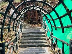 -金子山原生态旅游风景区