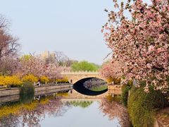 -元大都城垣遗址公园
