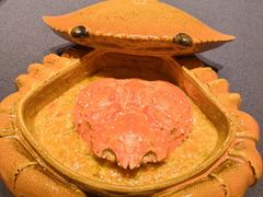 -子福慧(虹桥店)