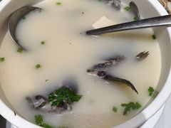 -索菲克·中西融合餐厅