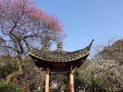 -杭州植物园