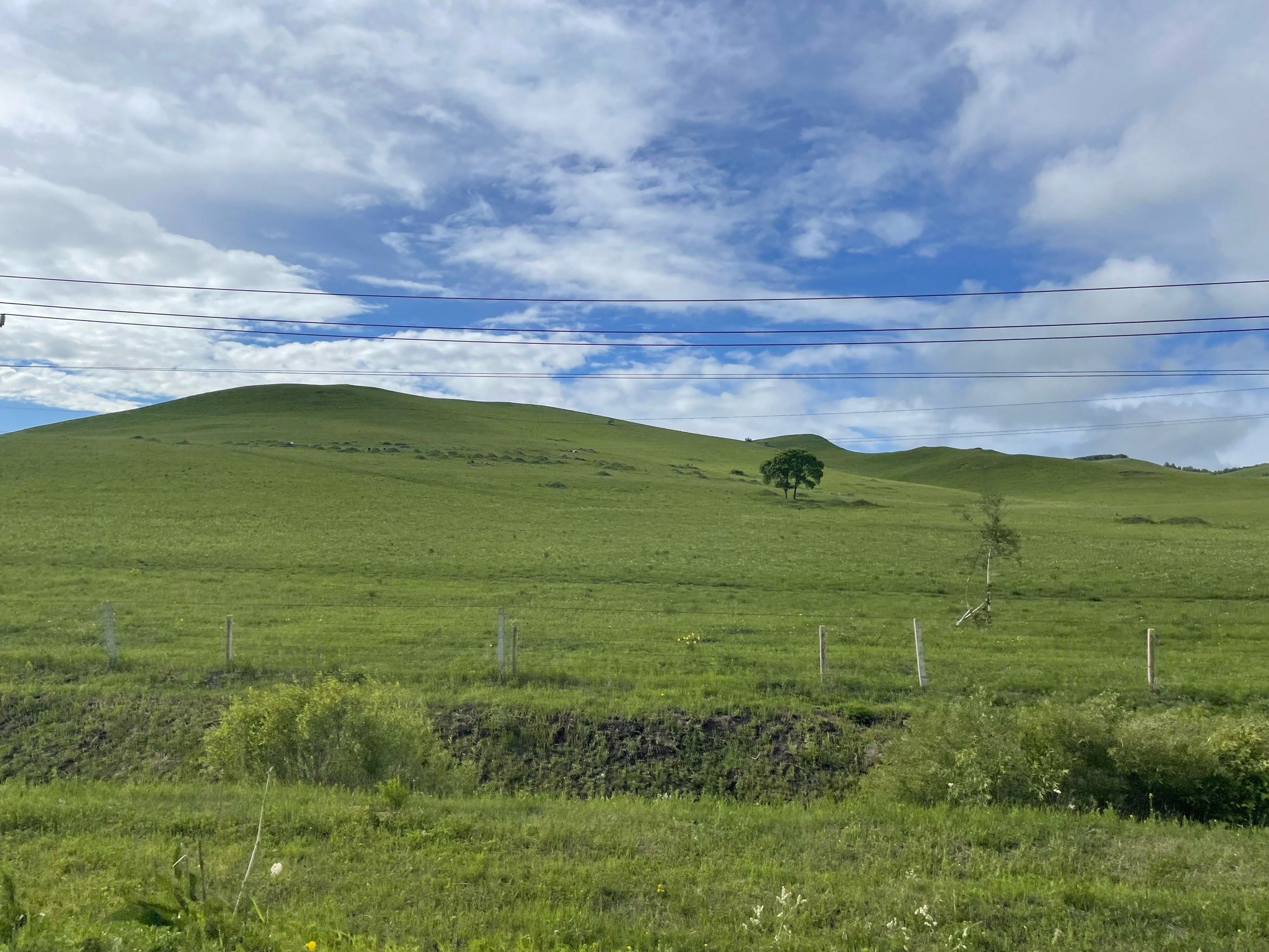 进入内蒙古大草原,刚下过一场雨,空气清新,太凉爽啦