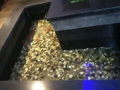 -碧露轩·大益茶体验馆(镇江路店)