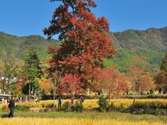 -塔川景区