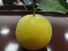 -重百超市(解放碑新华店)