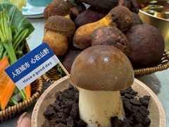 -大理董·董家小厨野生菌火锅(古城旗舰店)