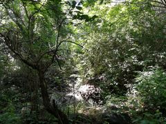 -云岫谷自然风景区