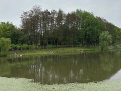 -月湖风景区