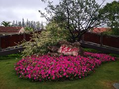 -上海长兴岛郊野公园