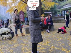 -成都市活水公园