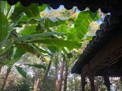 -秋霞圃