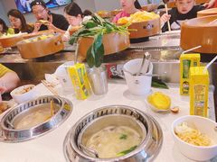 -龍歌自助小火锅(市南金茂湾店)