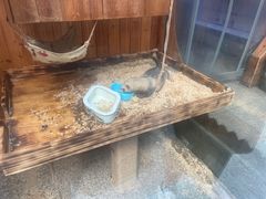 -上海大自然野生昆虫馆(东方明珠·爬宠昆虫探索中心)