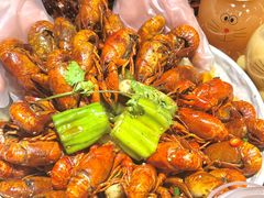 -京悦南门涮羊肉·羊蝎子火锅(田林路店)