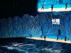 -珠海长隆海洋王国