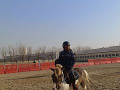 -北京群众马术培训基地
