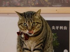 -栖咖啡(泉舜店)