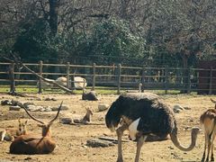 -西安秦岭野生动物园