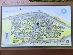 -上海滨江森林公园