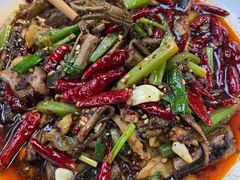 鳝鱼-三哥田螺(北书院街店)