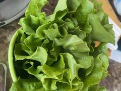 -鸡西大冷面(兰山店)