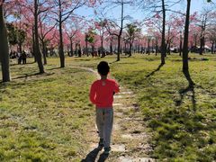 -风云岭森林公园