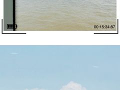 -上海滨江森林公园