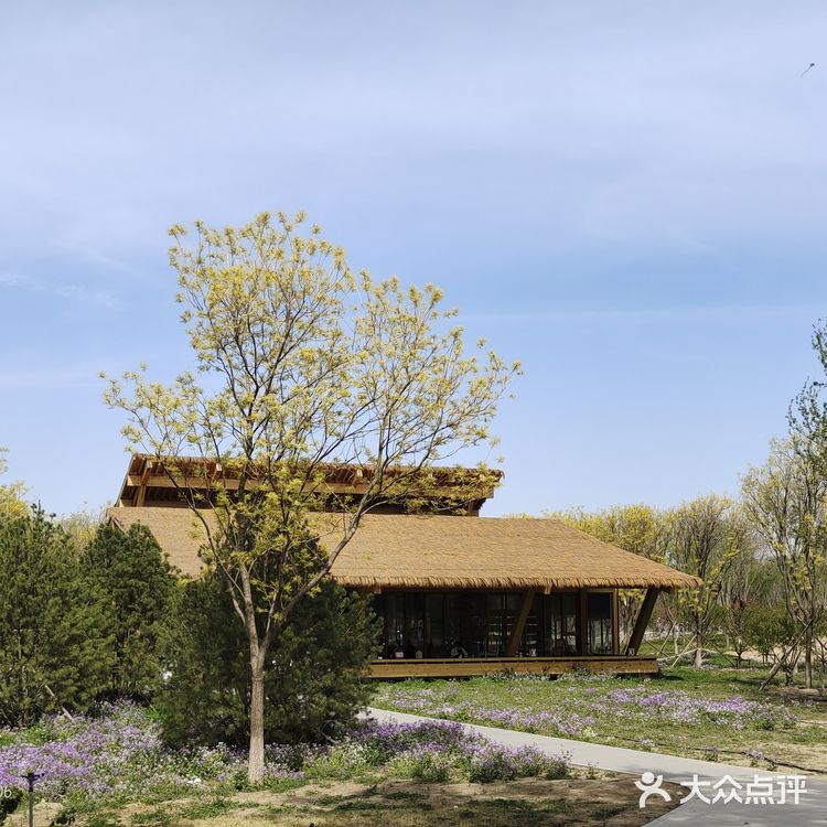 在海拉尔蒙古包品尝地道蒙古美食的独特体验