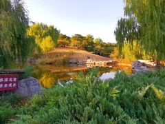 -北京西山国家森林公园