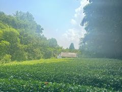 -敬亭山风景名胜区