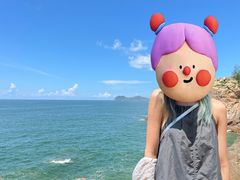 -广东惠东海龟国家级自然保护区
