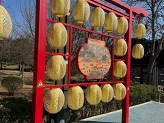 -青龙湖公园
