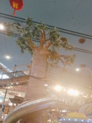 点击看大图 -卡通尼·Safari非洲探索乐园·生日会(金桥国际商业广场店)