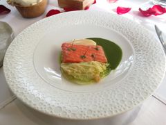 -蝶舍·MAISON PAPILLON