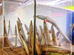 -本炙炭烤·蒲烧活鳗料理店(金沙洲店)
