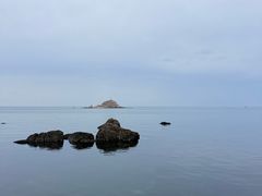 -养马岛旅游度假区