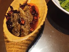 民国霸王兔-杨记隆府(白象街店)
