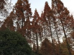 -上海植物园-4号门售票处