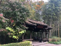 -法云安缦酒店
