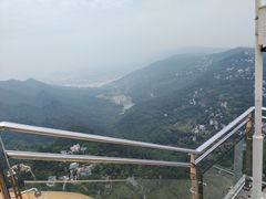 -大金鹰园