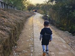 -南国桃园旅游度假区