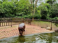 -海南热带野生动植物园