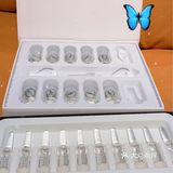 表皮的寡钛-1，修复真皮、