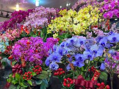 -双季花艺园艺市场(浦东店)