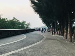 -宝安西湾红树林湿地公园