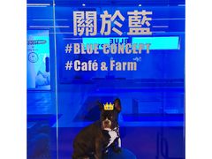 -Blue Concept Cafe&Farm·關於藍